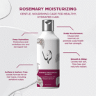 ROSEMARY SHAMPOO post 2